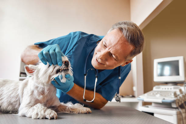 Best Dentist for Tooth Abscess  in Oak Ridge, FL
